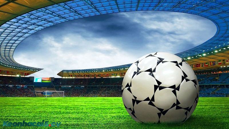 Hãy đặt cược khi đang diễn ra trận đấu